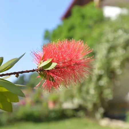 Theros-cottage Apartment *