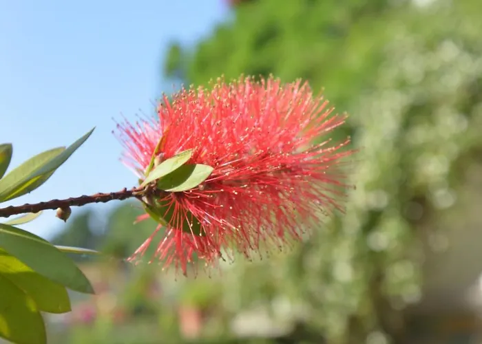 Theros-cottage Apartamento *